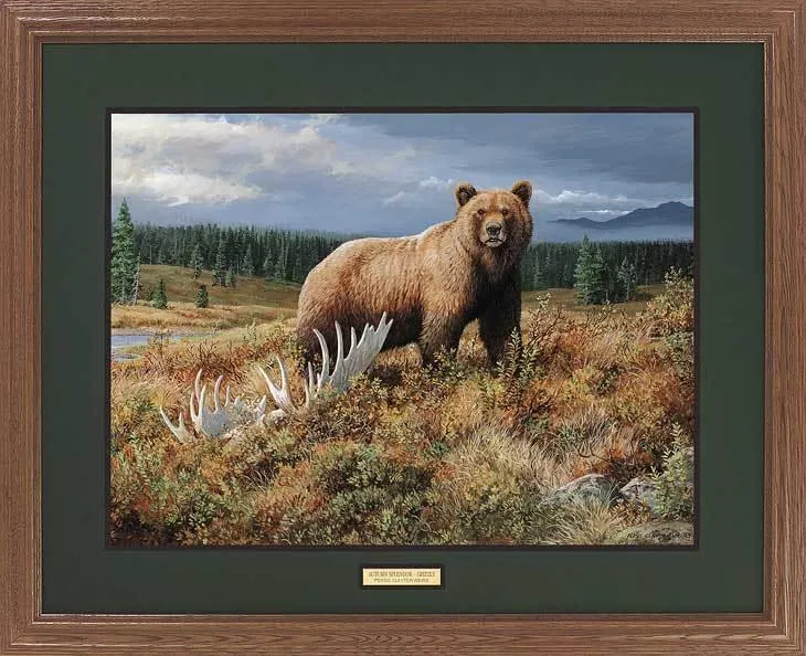 Autumn Splendor—Grizzly - GNA Premium Print