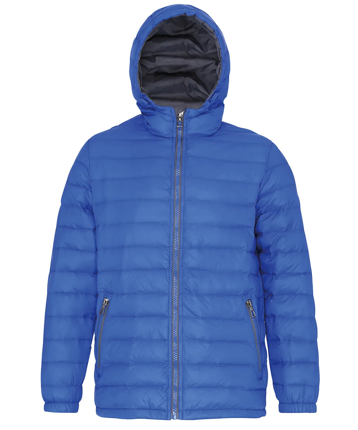 Padded jacket | Royal/Grey