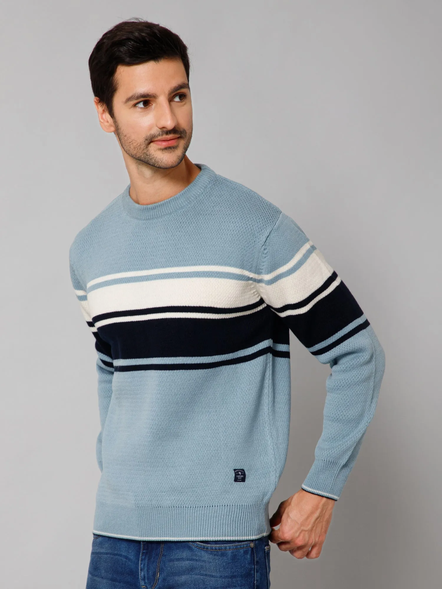 Striped Sky Blue Full Sleeves Round Neck Regular Fit Casual Sweater for Men