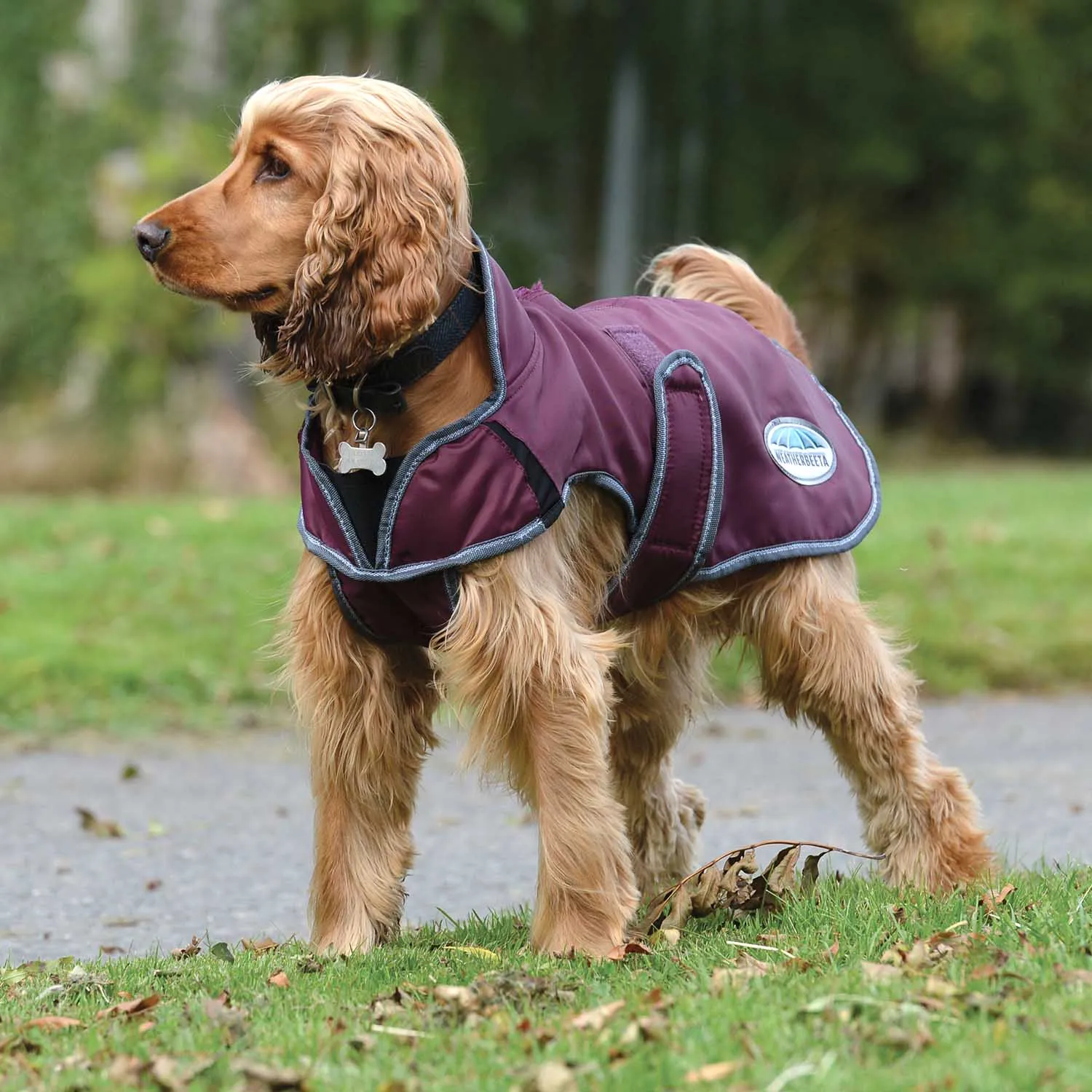 WeatherBeeta ComFITec Windbreaker Free Deluxe Dog Coat, Maroon/Gray/White