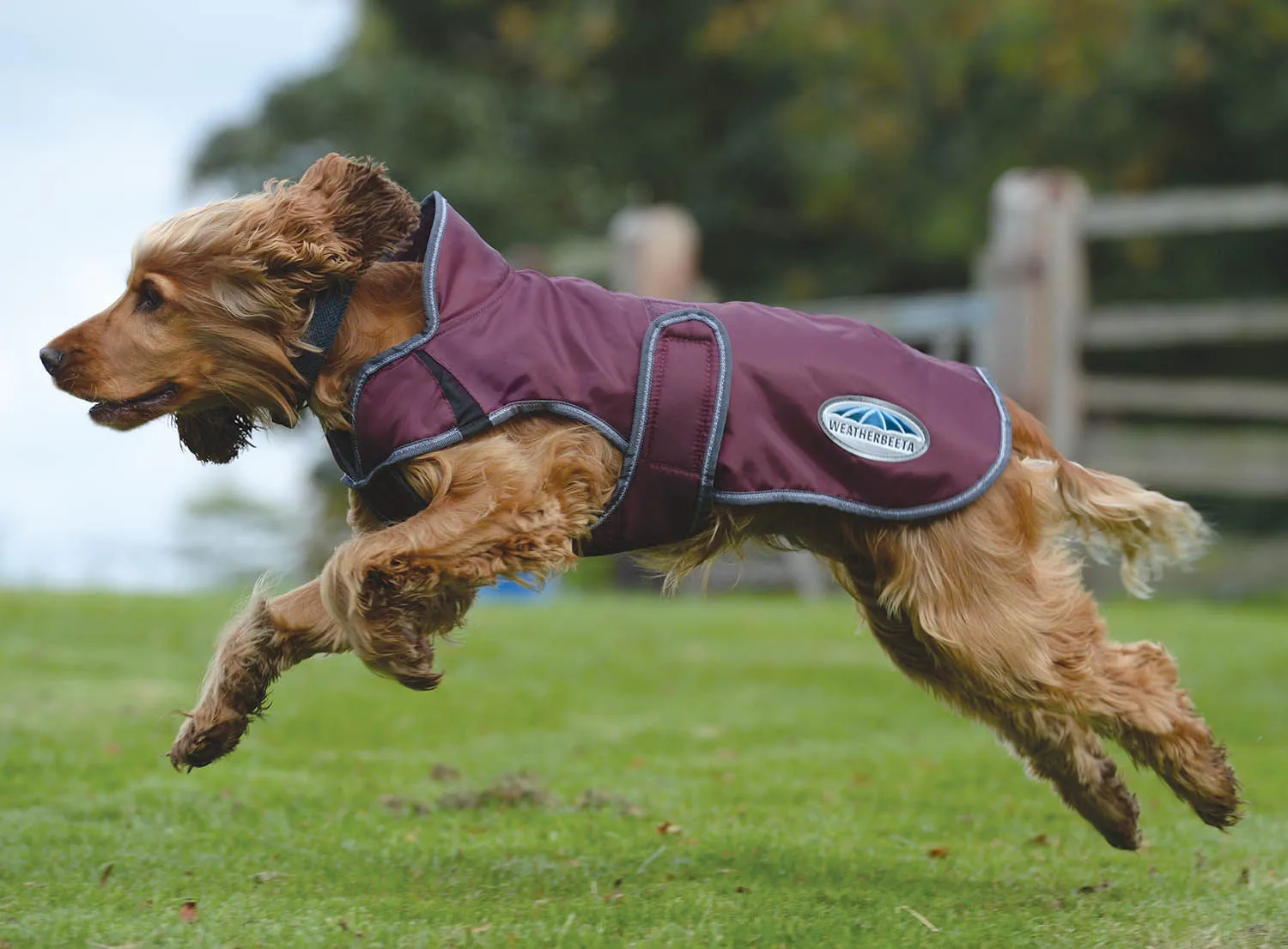 WeatherBeeta ComFITec Windbreaker Free Deluxe Dog Coat, Maroon/Gray/White